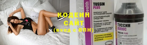 молекула духа Елизово