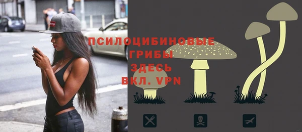 молекула духа Ельня