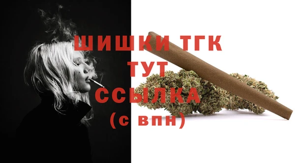 молекула духа Елизово