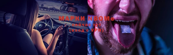 молекула духа Ельня