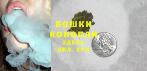 молекула духа Ельня