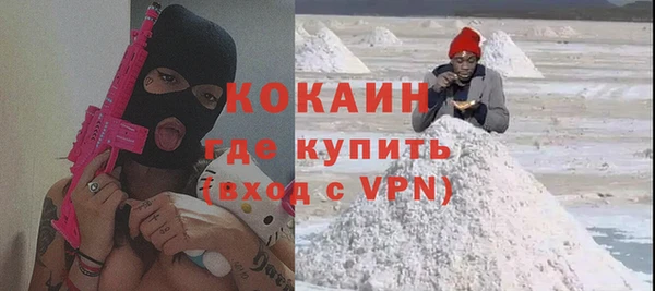 молекула духа Елизово