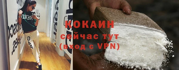 молекула духа Елизово