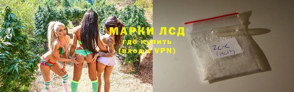 молекула духа Елизово