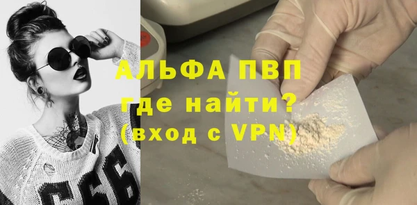 молекула духа Елизово